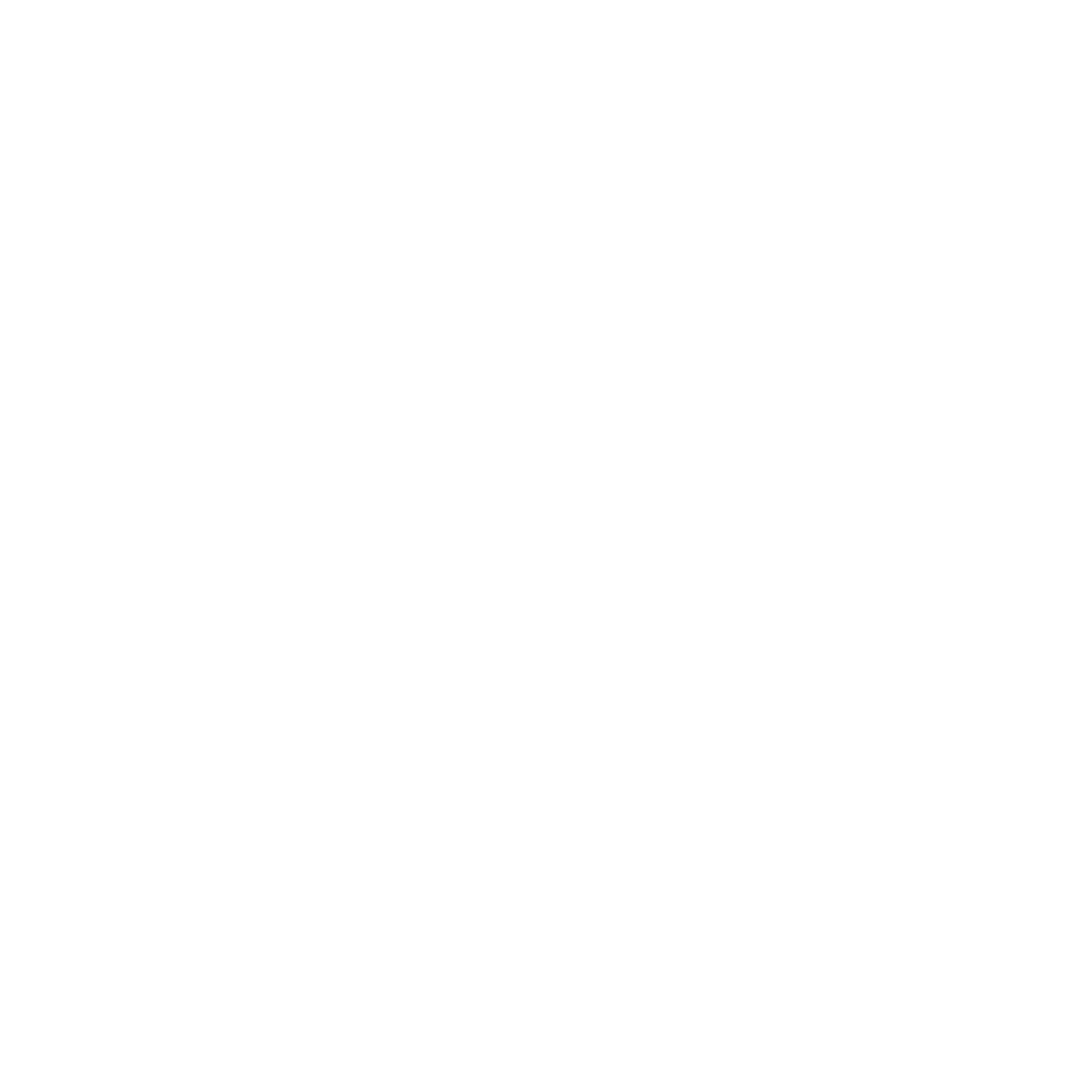 Drone Inspection services